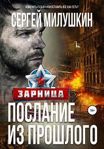 Послание из прошлого 2. Зарница - Сергей Милушкин