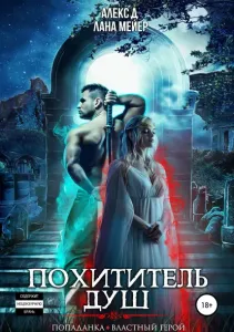 Зазеркалье 1. Похититель душ - Алекс Д, Лана Мейер