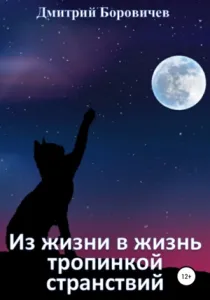 Из жизни в жизнь тропинкой странствий - Дмитрий Боровичёв