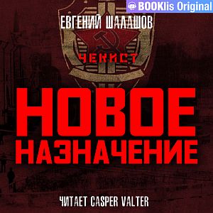 Чекист 4. Новое назначение - Евгений Шалашов
