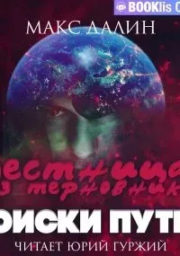 Лестница из Терновника 2. Поиски путей - Макс Далин