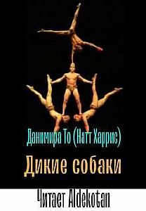 Дикие собаки - Данимира То