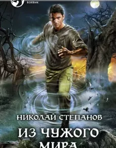 Дар Синего Камня 2. Из чужого мира - Николай Степанов