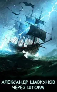 Бастард. Книга  6. Через шторм - Александр Шавкунов