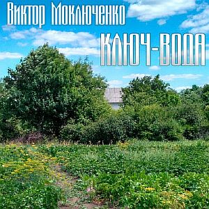 Система Иерархии 4. Ключ-вода - Виктор Моключенко