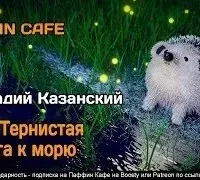Ежи. Тернистая дорога к морю - Геннадий Казанский