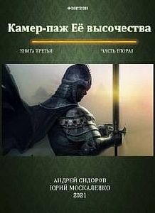 Ваше превосходительство 3.2 Камер-паж ее высочества - Юрий Москаленко, Андрей Сидоров