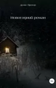 Новогодний роман - Денис Прохор