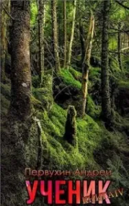 Ученик. Книга 4 - Андрей Первухин