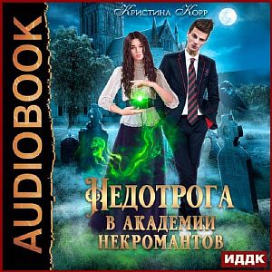 Империон 1. Недотрога в академии некромантов - Кристина Корр