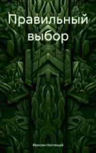 Правильный выбор - Максим Неспящий
