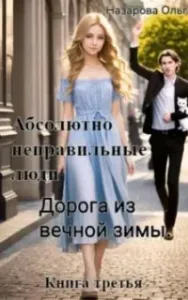 Абсолютно неправильные люди 3. Дорога из вечной зимы - Ольга Назарова
