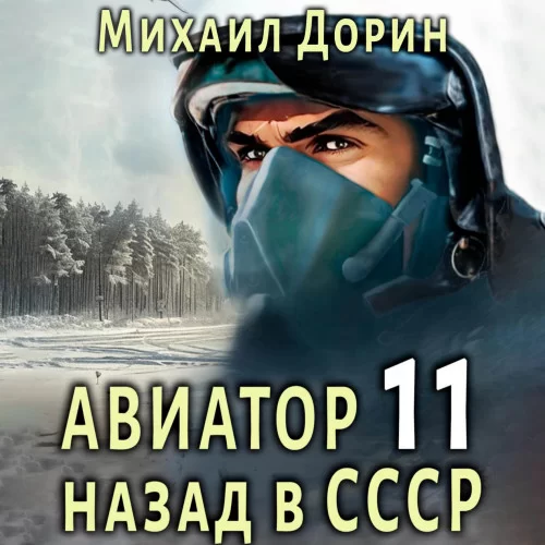 Авиатор: назад в СССР. Книга 11 - Михаил Дорин