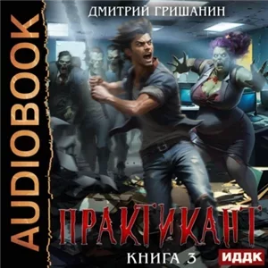 Практикант 3 - Дмитрий Гришанин