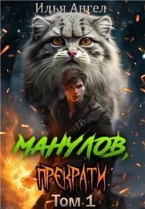 Манулов, прекрати! Том 1 - Илья Ангел