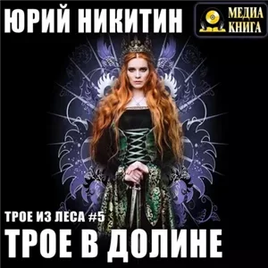 Трое из леса 5. Трое в долине - Юрий Никитин