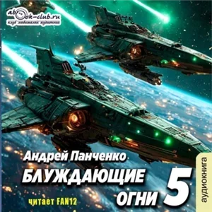 Блуждающие огни. Книга 5 - Андрей Панченко
