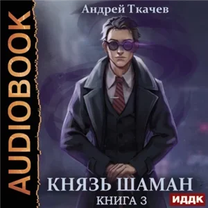 Князь шаман. Книга 3 - Андрей Ткачев