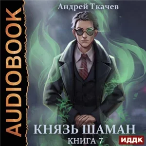 Князь шаман. Книга 7 - Андрей Ткачев
