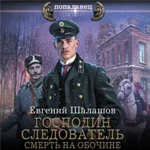 Господин следователь 2 - Евгений Шалашов