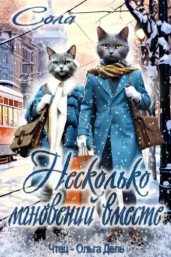 Котофэнтези. Когда молчит магия... 11. Несколько мгновений вместе - Сола