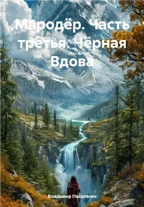 Мародёр 3. Чёрная Вдова - Владимир Поселягин